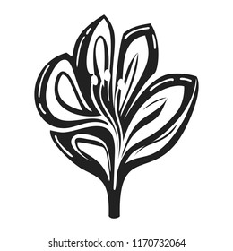 Lily icon. Simple illustration of lily vector icon for web design isolated on white background