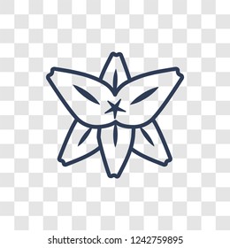 Lily icon. Trendy linear Lily logo concept on transparent background from Nature collection