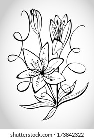 Lily illustration - isolated vector drawing plant contour on light background