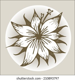 lily ink retro