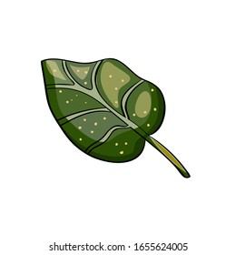 Lily leaf. Botanical Cartoon style. Vector illustration of lotus flowers the culture of China, Japan, India. East style.