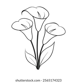 lily line art flower with white background