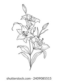 Lilienzeichnung. Schwarz-Weiß-Blumenstrauß. Blumenfarbseite. Blumenlinie Art. Fine Line Lilies Illustration. Handgezeichnete Blumen. Botanische Färbung. Blumen für Hochzeitseinladung