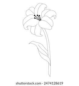 Dibujo de Lily Line. Ramos de flores en blanco y negro. Página para colorear flores. Arte de línea floral. Ilustración de líneas finas de lirios. Flores dibujadas a mano Coloración Botánica. Vector Icono simple. Eps 10. 