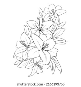 lily line drawing vector of flower coloring page drawing for printing element