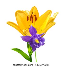 Lily low poly. Beautiful fragrant flower. Wonderful Flower. Elements for label design. Vector illustration. Lily in triangulation technique. 