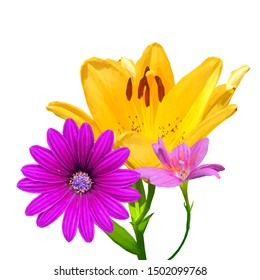 Lily low poly. Beautiful fragrant flower. Wonderful Flower. Elements for label design. Vector illustration. Lily in triangulation technique. 