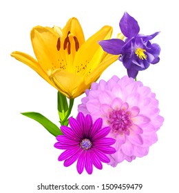 Lily low poly. Beautiful fragrant flower. Wonderful Flower. Elements for label design. Vector illustration. Lily in triangulation technique. 