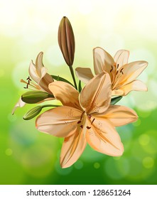 Lily on green bokeh. Vector drawing / Eps10