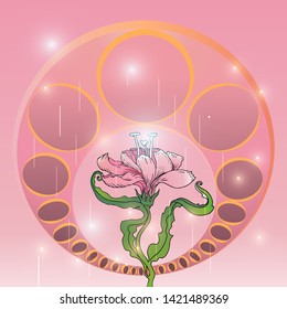 Lily  on pink background, creative hand draw vector background in art nuvo style , floral texture, botanical Liliaceae. 