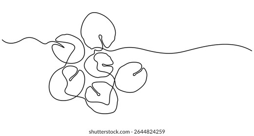 lily pad continuous one line drawing, Minimal Lotus Flower with Lily Pads One Line Drawing Vector Design, Outline drawings of water lily plants in pond, leaf pads. Set of lotus leaves in sketch style.