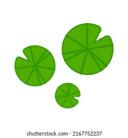 Lily pad icon. Lily cartoon vector on white background.