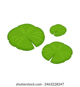 Lily pad icon. Lily cartoon vector on white background.