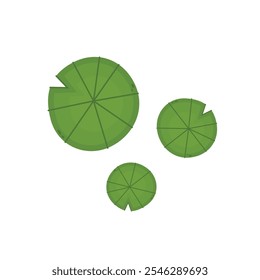Icono de almohadilla de lirio. Vector de dibujos animados de lirio sobre fondo blanco.