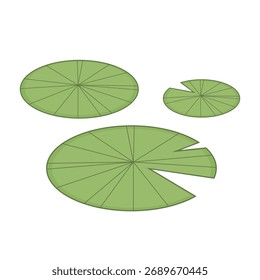 Icono de almohadilla de lirio. Vector de dibujos animados de lirio aislado.