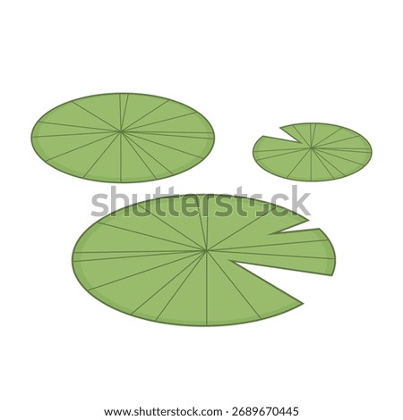 Lily pad icon. Lily cartoon vector isolated.