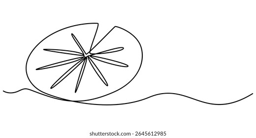  ícone de almofada de lírio desenho contínuo de uma linha, Desenhos de contorno de plantas de lírio de água em lagoa, almofadas de folha. Conjunto de folhas de lótus em estilo de esboço. Ilustração vetorial botânica isolada sobre fundo branco.