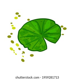 Lily pad isolated on white background. Lotus leaf logo design. Cartoon water lilypad. Lilies plant icon. Element of nature, forest and wild life. Stock vector illustration