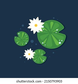 Lily pad and Lotus vector. wallpaper. free space for text. background. poster. lotus flower.