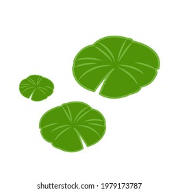 Lily pad pattern vector. wallpaper. free space for text. background.