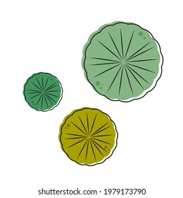 Lily Pad Pattern Vector. Wallpaper. Free Space For Text. Background.