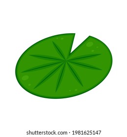 Lily Pad Pattern Vector. Wallpaper. Free Space For Text. Background.