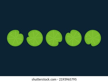 Lily pad pattern vector. wallpaper. free space for text. background.