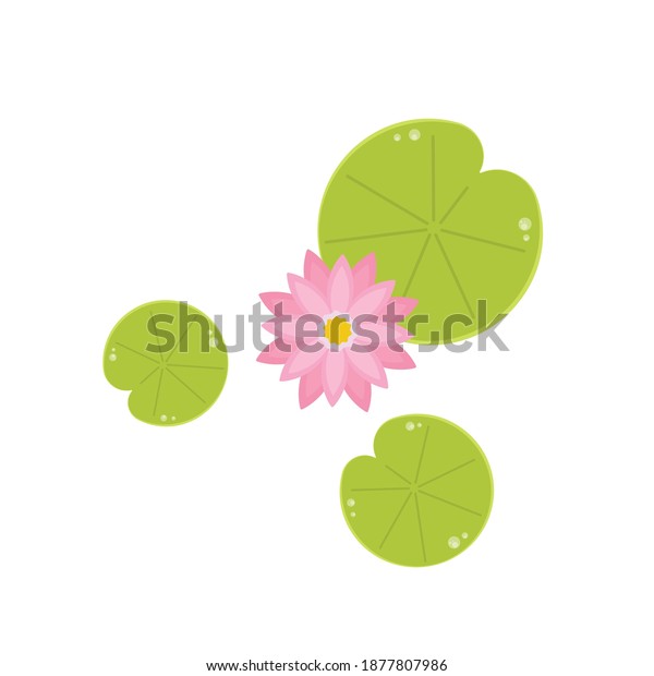 Lily Pad Pattern Wallpaper Free Space Stock Vector (Royalty Free ...