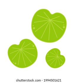 Lily pad vector. Lily cartoon vector on white background.