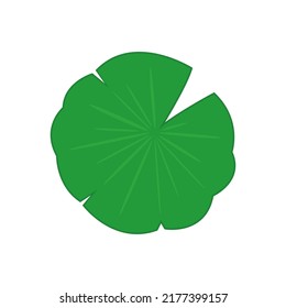 Lily pad vector. Lily cartoon vector on white background.