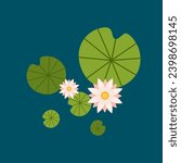 Lily pad vector. Lily pad illustration.