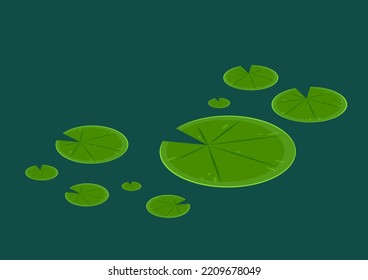 Lily pad vector. Lily pad illustration.