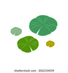 Lily pad vector. wallpaper. free space for text. copy space.