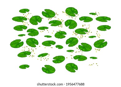 Lily pads isolated on white background. Lotus leaf pattern. Water lilies leaves. Pond texture with nenuphars or waterlily pads on the surface top. Element of nature or forest.Stock vector illustration