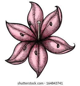 lily painted in a graphic style points and lines. A great figure for a tattoo