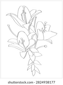 Lily pattern on white and colored background.