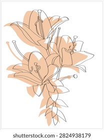 Lily pattern on white and colored background.