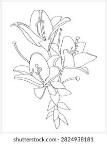 Lily pattern on white and colored background.