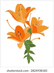 Lily pattern on white and colored background.