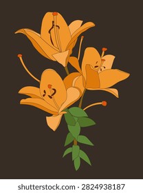 Lily pattern on white and colored background.