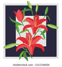Lily, picture in frame