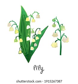 Lily plant with flowers, leaves isolated on white. Field summer flower for alternative treatment, traditional medicine, home decor. Plant element for a bouquet of wild herbs. Vector illustration