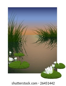 lily pond