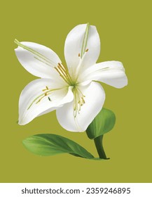 Lily realistic illustration flower 3D design