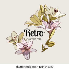 Lily. Retro flower