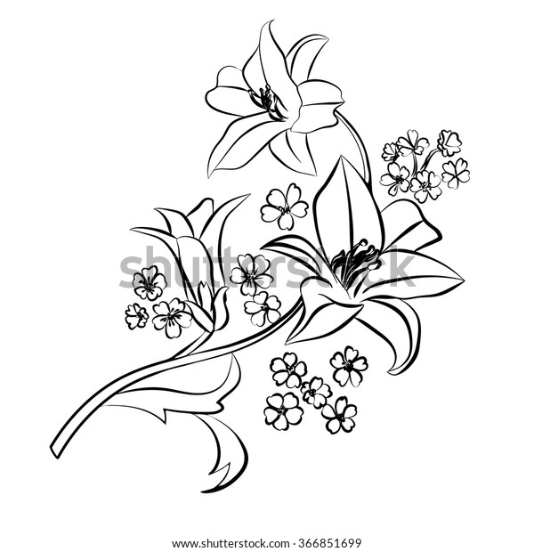 Lily Sketch Black Outline On White Stock Vector (Royalty Free ...