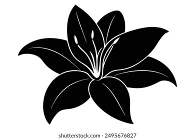 lily this is a editable eps file vector silhouette illustration 