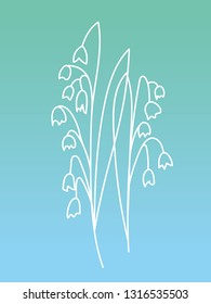 Lily of the valley