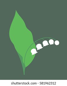 Lily of the valley