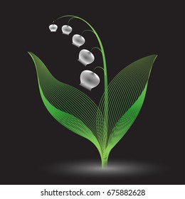 lily of the valley